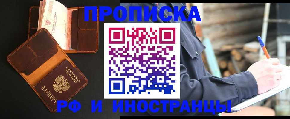 прописка 2025 в Кашине